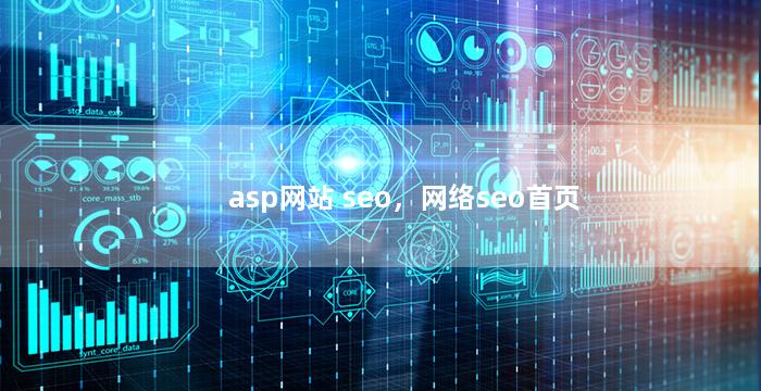 asp网站 seo，网络seo首页